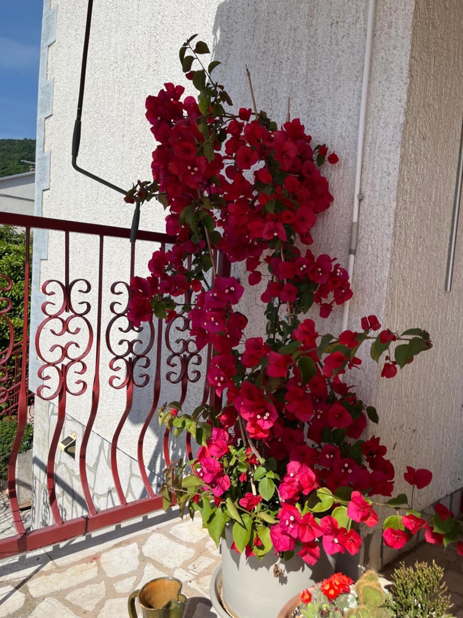 Holiday House Marica Lovran Exterior foto