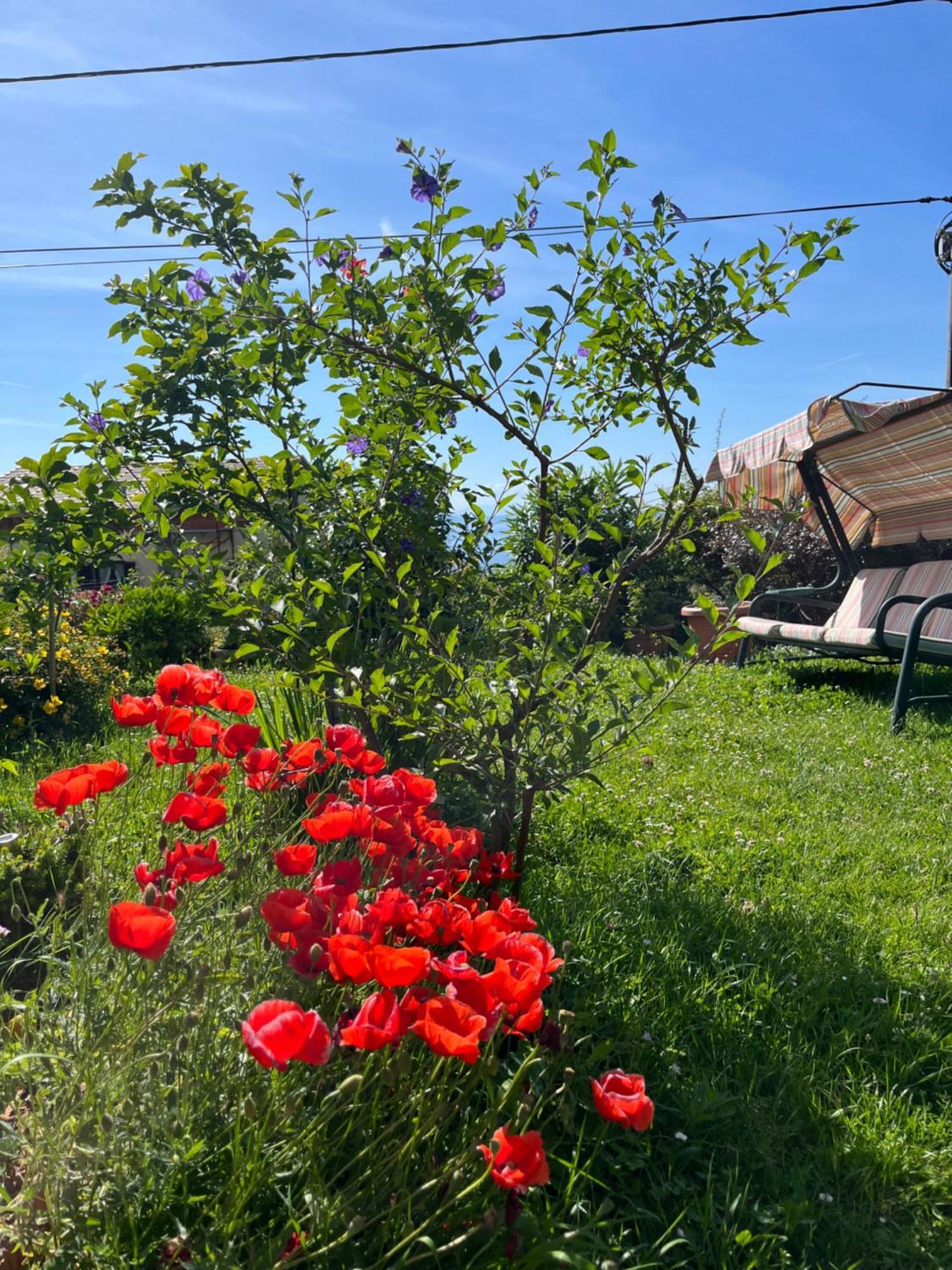 Holiday House Marica Lovran Exterior foto